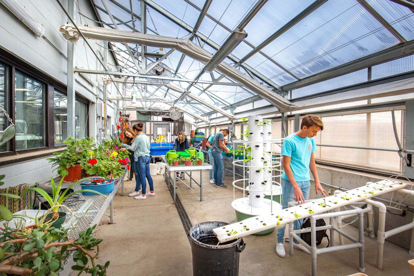 Students tend to plants in the school greenhouse