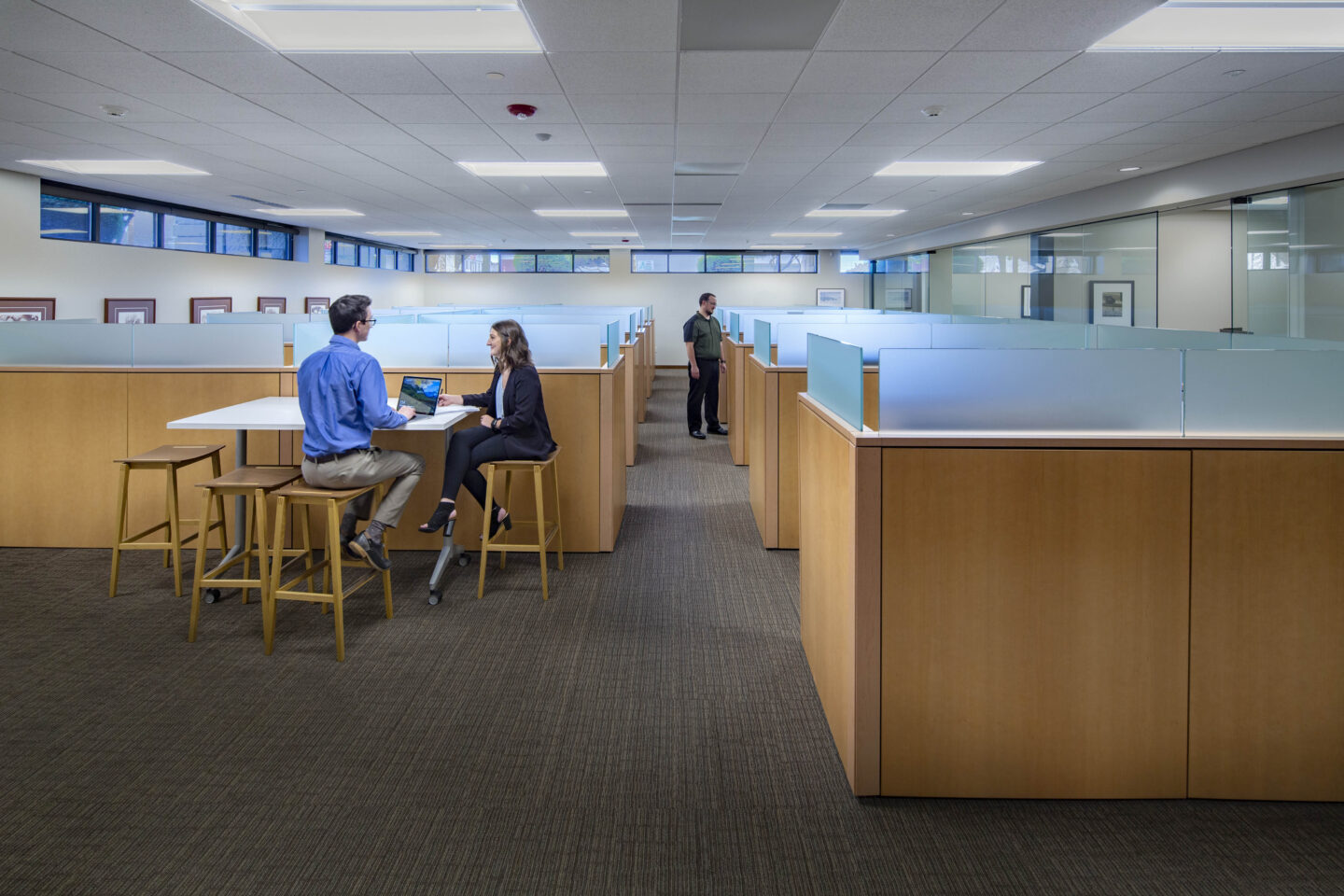 Workstations designed for both privacy and light fill a large office area